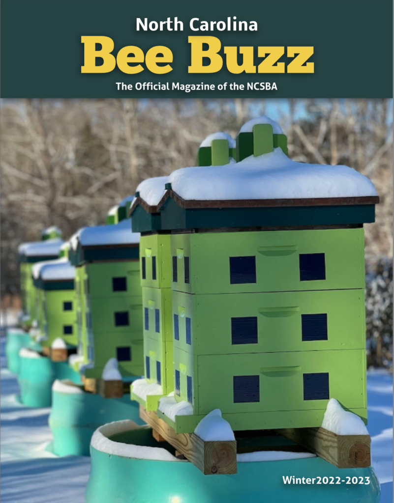 Bee Buzz cover