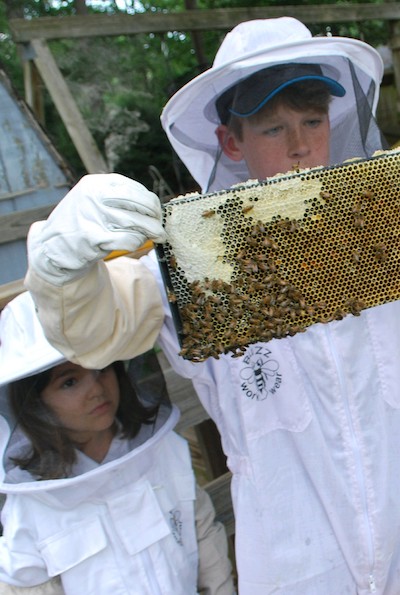 Two children inspecting a frame