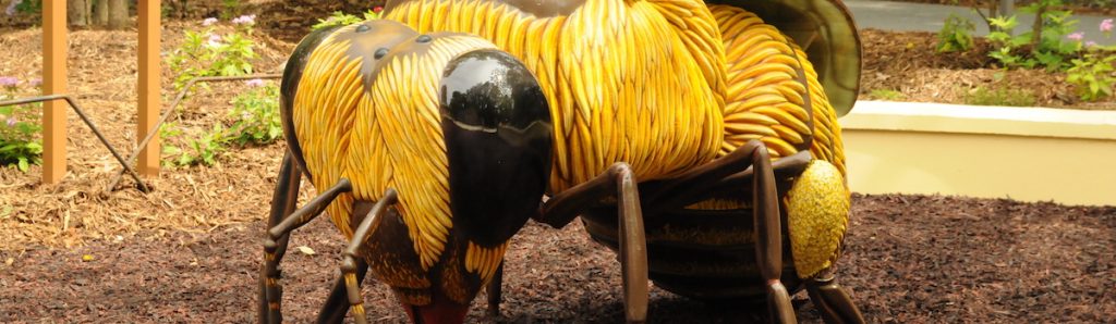 NC Zoo Honey Bee Exhibit