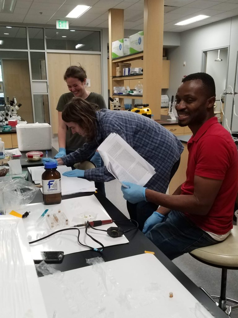 University of Florida Laboratory with three researchers